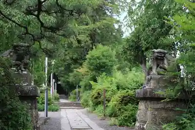 豊景神社の狛犬