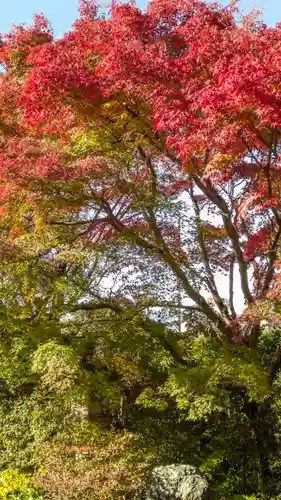 天得院(京都府)