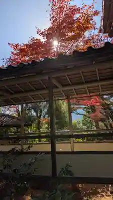 光悦寺(京都府)