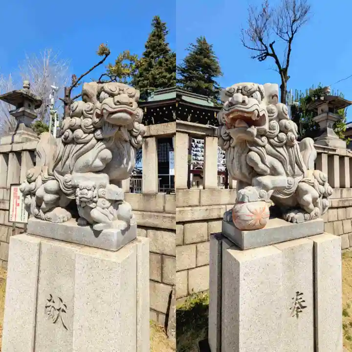 尾久八幡神社の狛犬