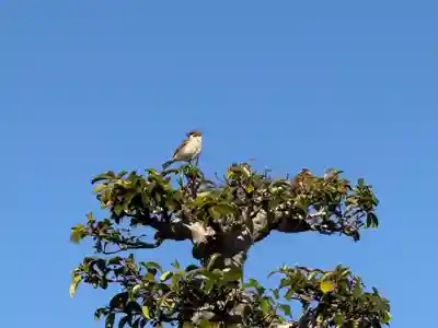 西方山極楽寺(岐阜県)
