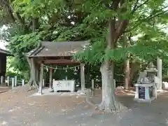 天満社（神有天満社）の手水