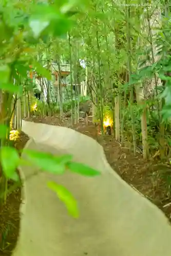 來宮神社(静岡県)