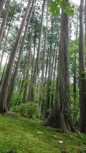 古峯神社の自然