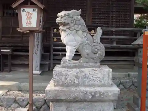 小鎚神社の狛犬