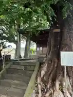 須賀神社の{uncategorized: "未分類", other: "その他", undefined: "問題あり", building: "その他建物", grave: "お墓", sacred_gate: "鳥居", guardian: "狛犬", statue: "像", buddha: "仏像", history: "歴史", nature: "自然", garden: "庭園", animal: "動物", pagoda: "塔", temizu: "手水舎", mountain_gate: "山門・神門", sanctuary: "本殿・本堂", subordinate: "末社・摂社", art: "芸術", scenery: "景色", jizo: "地蔵", ema: "絵馬", goshuin: "御朱印", omikuji: "おみくじ", items: "授与品その他", amulet: "お守り", goshuincho: "御朱印帳", eats: "食事", festival: "お祭り", votive_dance: "神楽", shichigosan: "七五三参", wedding: "結婚式", experience: "体験その他", initially: "初詣", around: "周辺", anti_infection: "感染症対策"}