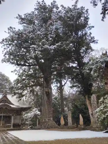 松山神社(千葉県)