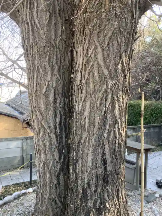 堤治神社の自然