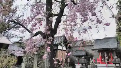 安樂寺天満宮のその他建物