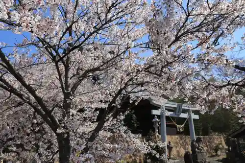 大山祇神社の景色