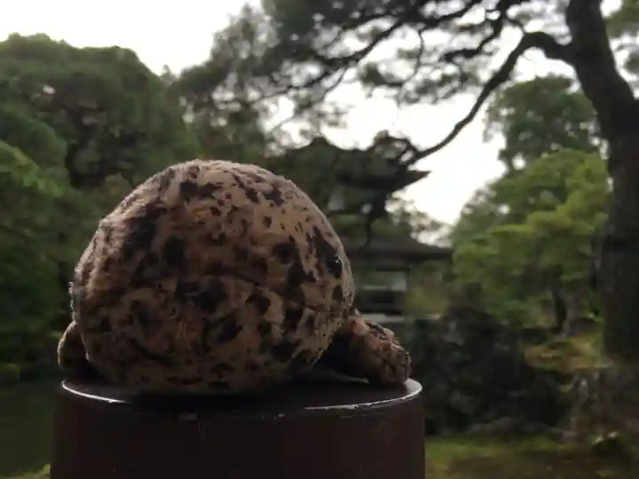 慈照寺(慈照禅寺・銀閣寺)のその他建物