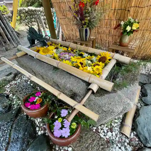 竹神社の手水舎