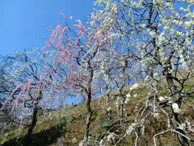 大縣神社(愛知県)