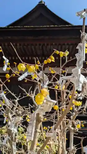 長命寺(滋賀県)