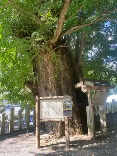 素盞雄神社(奈良県)