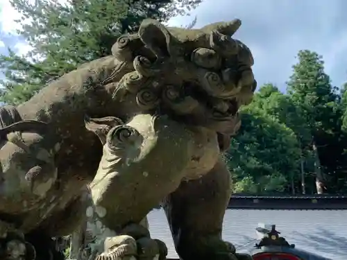 宇迦神社の狛犬