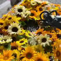 札幌諏訪神社の手水舎