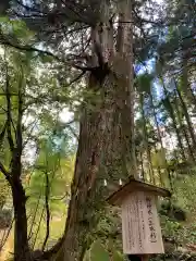 花園神社の自然