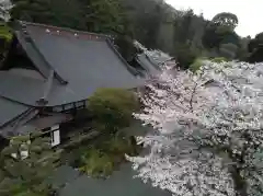 最明寺の本殿