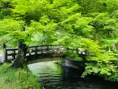 土津神社｜こどもと出世の神さまの庭園