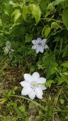 鹿島大神宮(福島県)