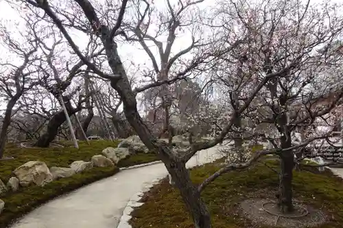 北野天満宮の庭園