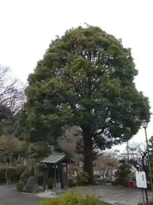 安立寺(神奈川県)