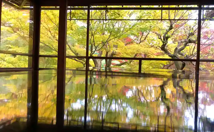 光明寺瑠璃光院の自然