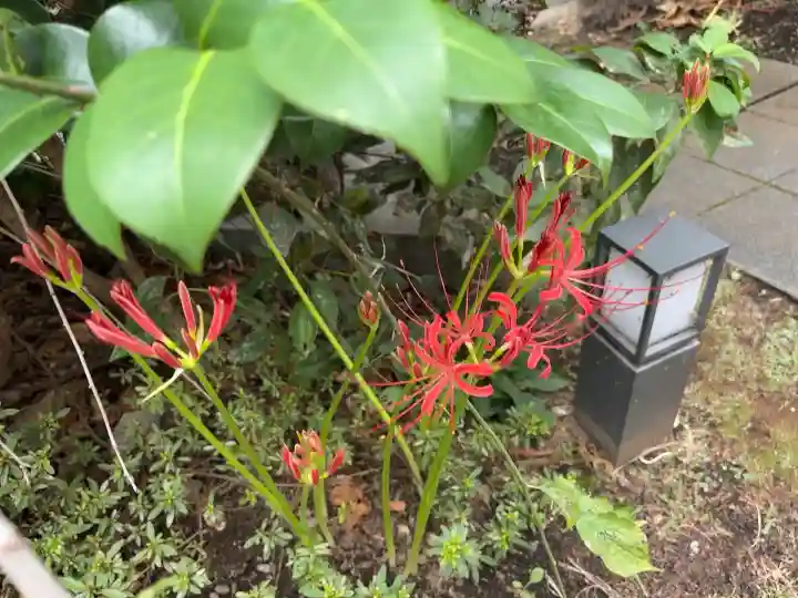 成子天神社(東京都)
