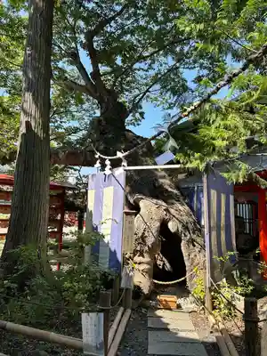 生島足島神社(長野県)