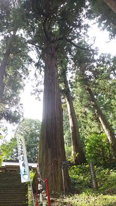 大宮温泉神社(栃木県)
