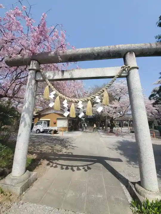 日限富士浅間神社の鳥居