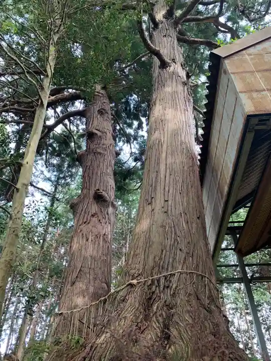 隣高神社(千葉県)