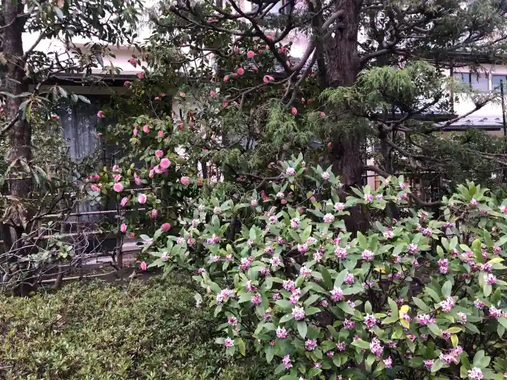 徳泉寺の{uncategorized: "未分類", other: "その他", undefined: "問題あり", building: "その他建物", grave: "お墓", sacred_gate: "鳥居", guardian: "狛犬", statue: "像", buddha: "仏像", history: "歴史", nature: "自然", garden: "庭園", animal: "動物", pagoda: "塔", temizu: "手水舎", mountain_gate: "山門・神門", sanctuary: "本殿・本堂", subordinate: "末社・摂社", art: "芸術", scenery: "景色", jizo: "地蔵", ema: "絵馬", goshuin: "御朱印", omikuji: "おみくじ", items: "授与品その他", amulet: "お守り", goshuincho: "御朱印帳", eats: "食事", festival: "お祭り", votive_dance: "神楽", shichigosan: "七五三参", wedding: "結婚式", experience: "体験その他", initially: "初詣", around: "周辺", anti_infection: "感染症対策"}