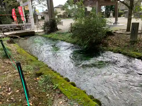 乃木神社の自然