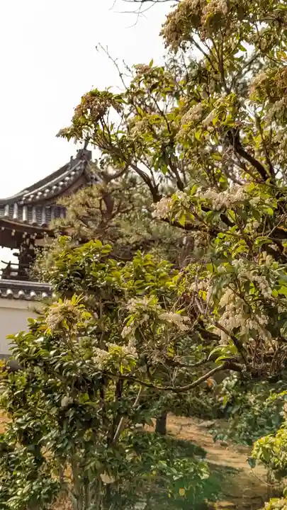寳塔寺(宝塔寺)(京都府)
