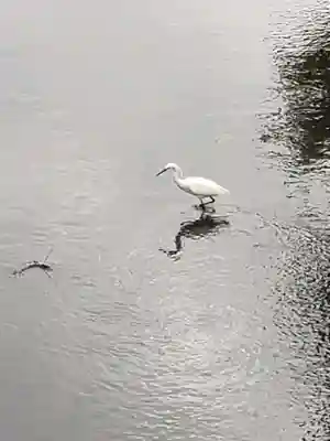 下高井戸八幡神社(東京都)