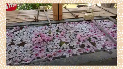 真野寺(千葉県)