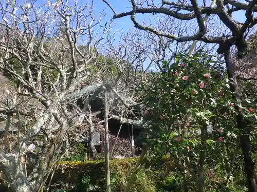 瑞泉寺のその他建物