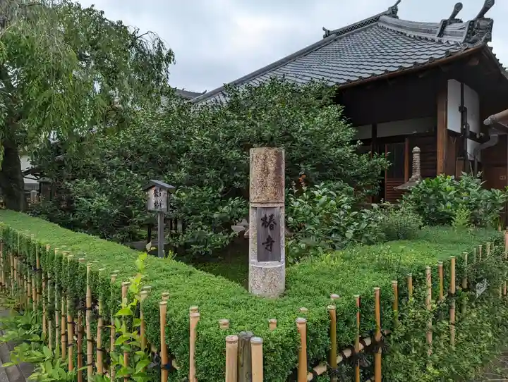 地蔵院(椿寺)(京都府)