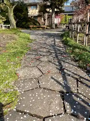 台林寺(栃木県)