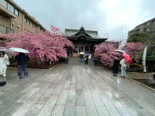 桜神宮(東京都)