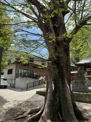 滝野川八幡神社(東京都)
