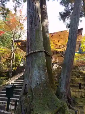 西明寺(滋賀県)