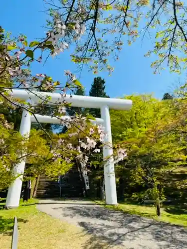 土津神社｜こどもと出世の神さまの鳥居