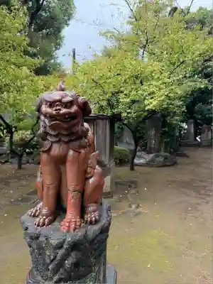 品川神社の狛犬
