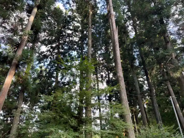 大宮温泉神社(栃木県)