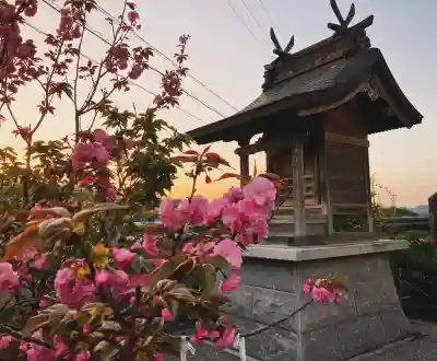 真言宗　善通寺派　薬王寺の{uncategorized: "未分類", other: "その他", undefined: "問題あり", building: "その他建物", grave: "お墓", sacred_gate: "鳥居", guardian: "狛犬", statue: "像", buddha: "仏像", history: "歴史", nature: "自然", garden: "庭園", animal: "動物", pagoda: "塔", temizu: "手水舎", mountain_gate: "山門・神門", sanctuary: "本殿・本堂", subordinate: "末社・摂社", art: "芸術", scenery: "景色", jizo: "地蔵", ema: "絵馬", goshuin: "御朱印", omikuji: "おみくじ", items: "授与品その他", amulet: "お守り", goshuincho: "御朱印帳", eats: "食事", festival: "お祭り", votive_dance: "神楽", shichigosan: "七五三参", wedding: "結婚式", experience: "体験その他", initially: "初詣", around: "周辺", anti_infection: "感染症対策"}