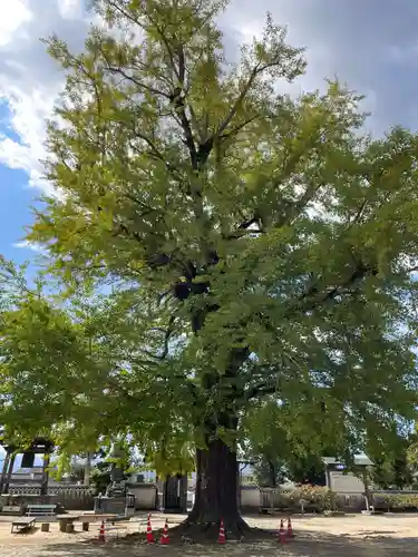 地蔵寺(徳島県)
