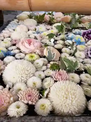 高円寺氷川神社の手水舎